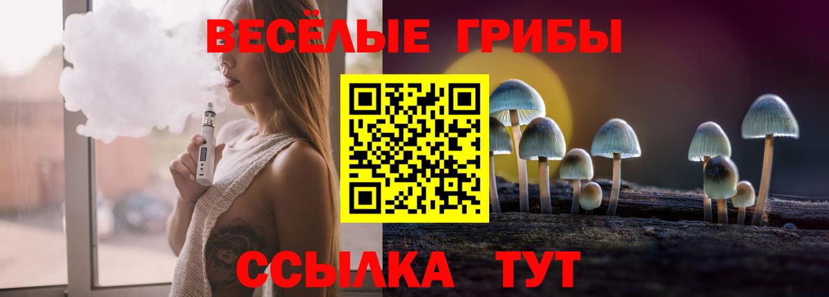 Псилоцибиновые грибы прущие грибы  Псилоцибиновые грибы прущие грибы  Менделеевск  Вход с VPN 